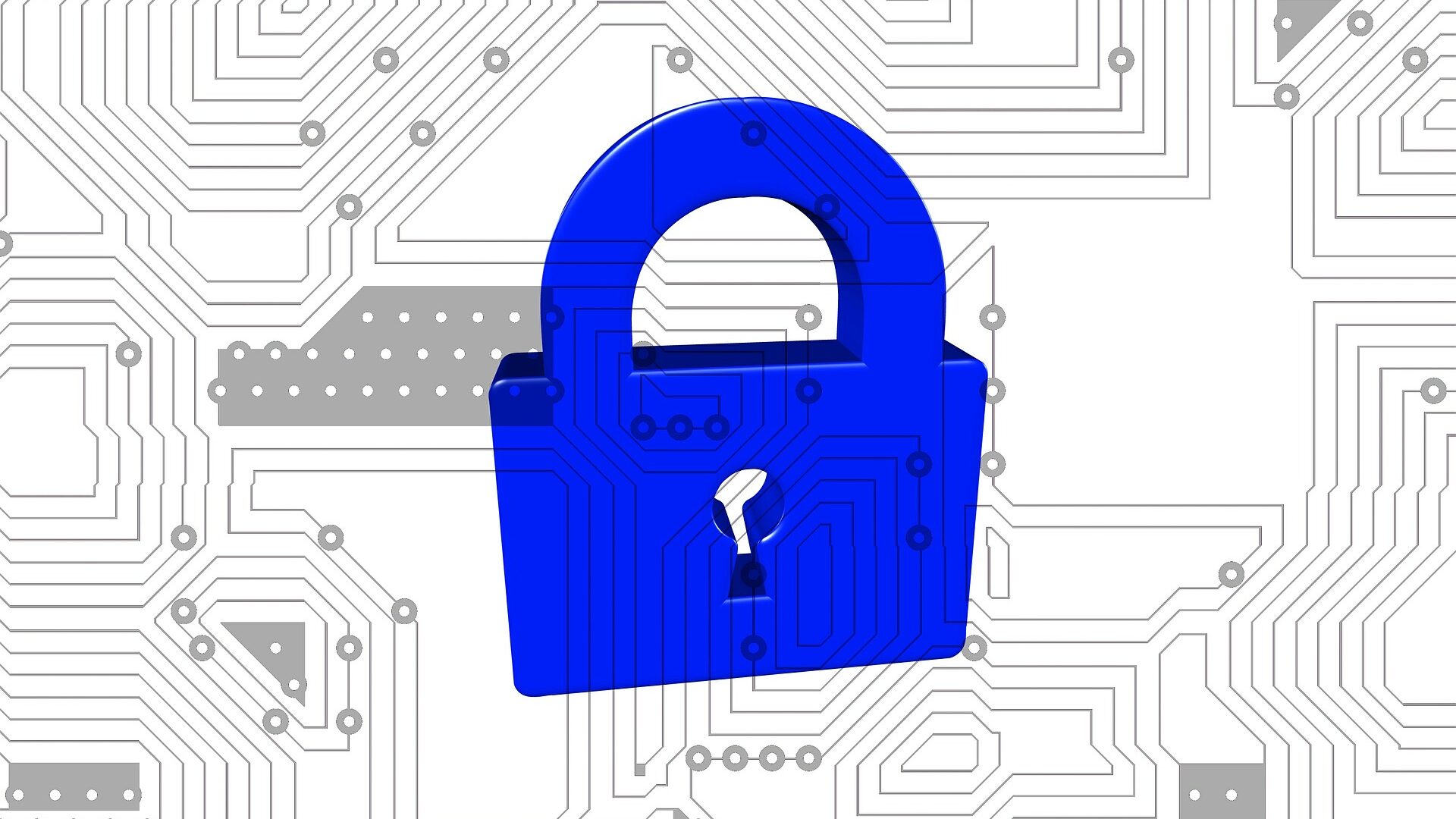 Online Casinos für Frauen bieten einen umfassenden Datenschutz.